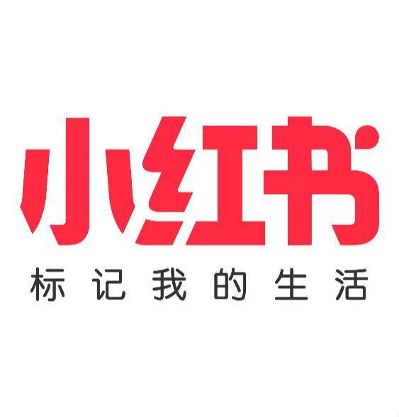 数据报告